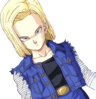 android18.jpg