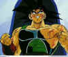 bardock04_small.jpg