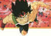 bardock05_small.jpg