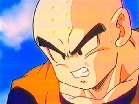 krillin6.jpg