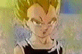 vegetajrssj.gif