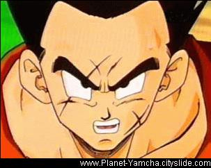 yamcha025.gif